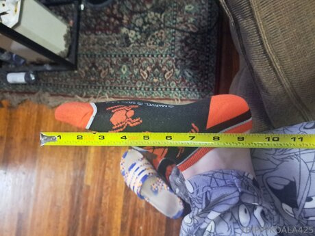 Trippykoala425 onlyfans nudes leaked