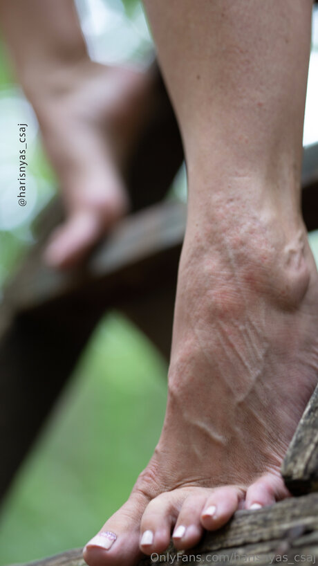 Harisnyas Csaj onlyfans pics nude