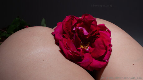 Harisnyas Csaj onlyfans leak