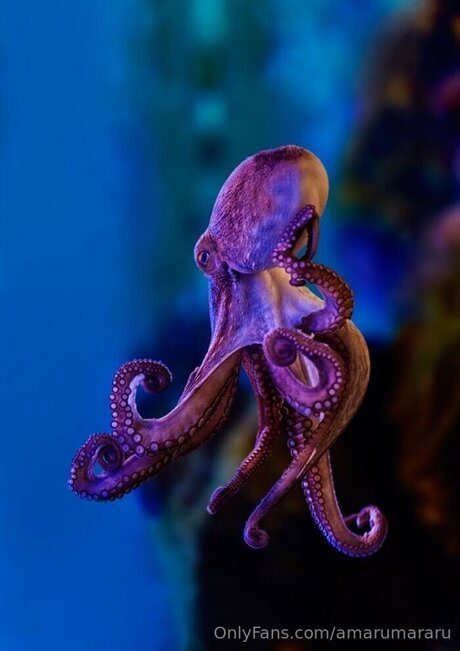 Amarumararu free onlyfans porn