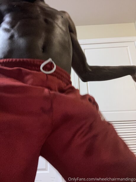 Wheelchairmandingo onlyfans sex tape