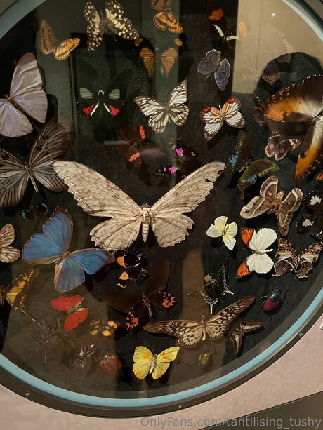 Tantilising Tushy onlyfans