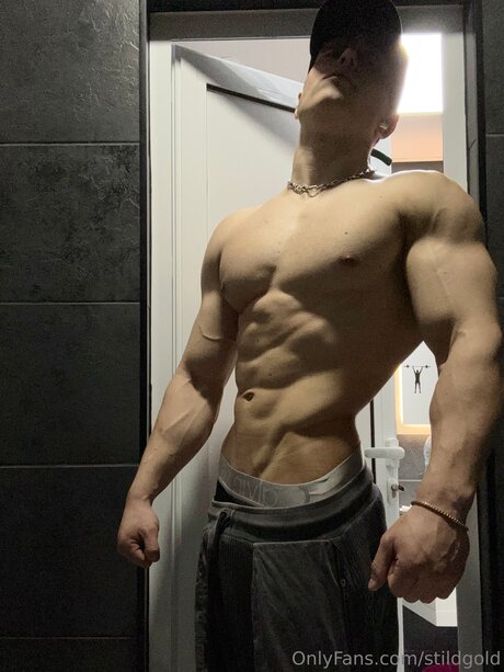 Stildgold onlyfans leaks nudes