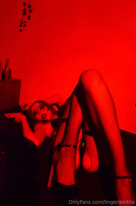 Lingeriekittie onlyfans nude porn