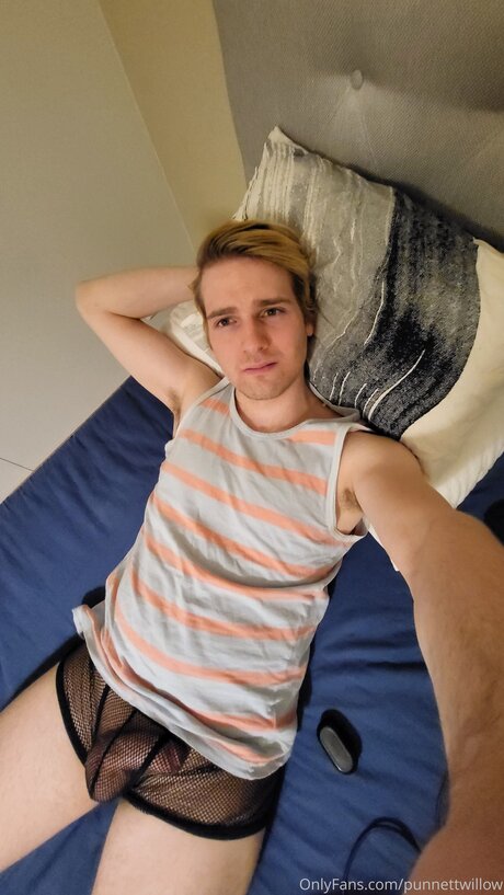 Punnettwillow onlyfans nude tits