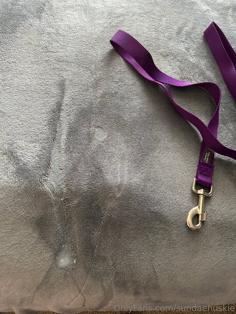 Sundaehuskie leaked onlyfans sex tape