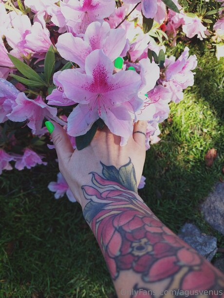 Agusvenus leaked only fans nudes