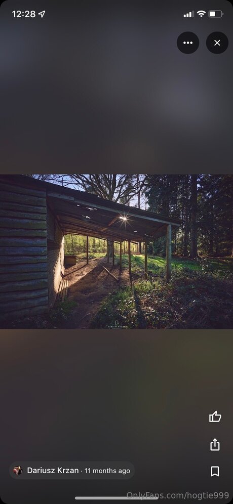 Hogtie999 only fans leak nude