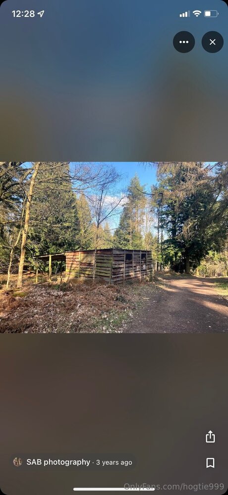 Hogtie999 sextape onlyfans