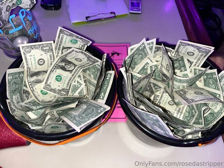 Rosedastripper porn onlyfans