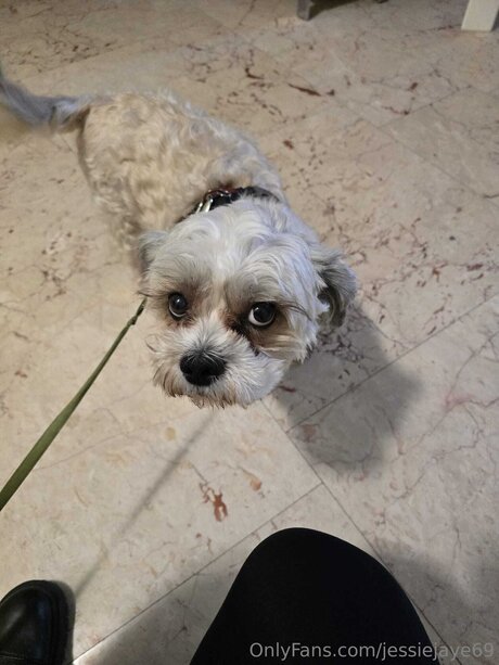 Jessiejaye69 onlyfans leaks sex