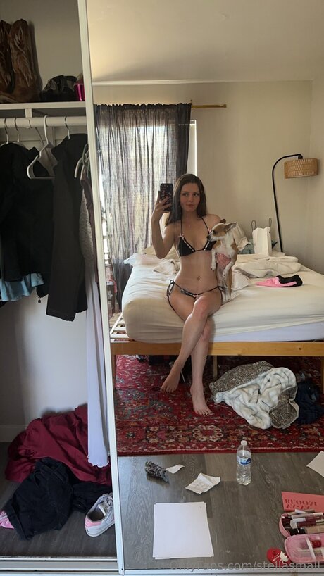 Ho11ywoodgirl free onlyfans