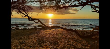 Mnmassager onlyfans ass