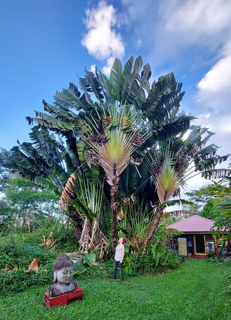 Mnmassager onlyfans leaks sex