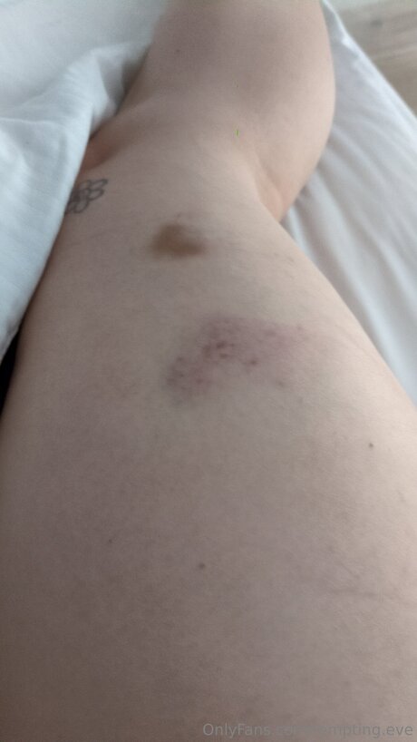 Tempting Eve onlyfans nide