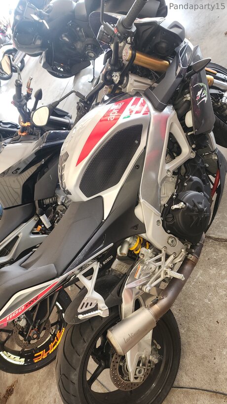 Pandaparty15 onlyfans porn