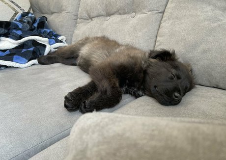 Summerreese nude leaks onlyfans