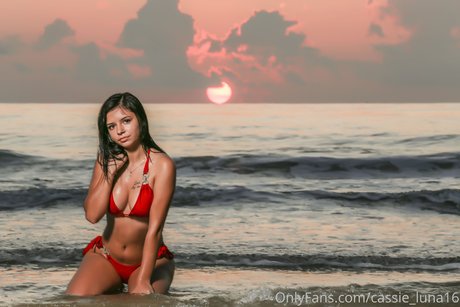 Cassie Luna leaked onlyfans content