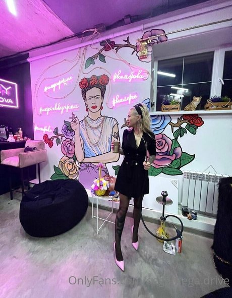 segamega drive fans only