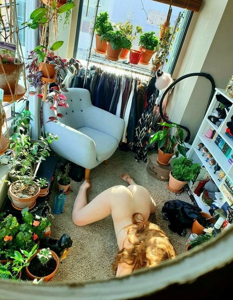 anabalfe ass onlyfans