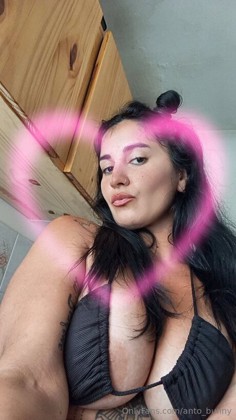 Anto Bunny onlyfans explicit content