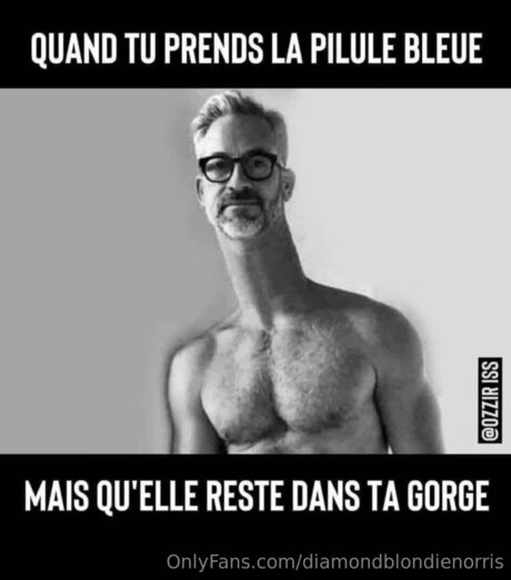 Diamondblondienorris onlyfans leams