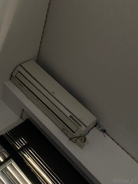 Rdk Willow onlyfans free porn