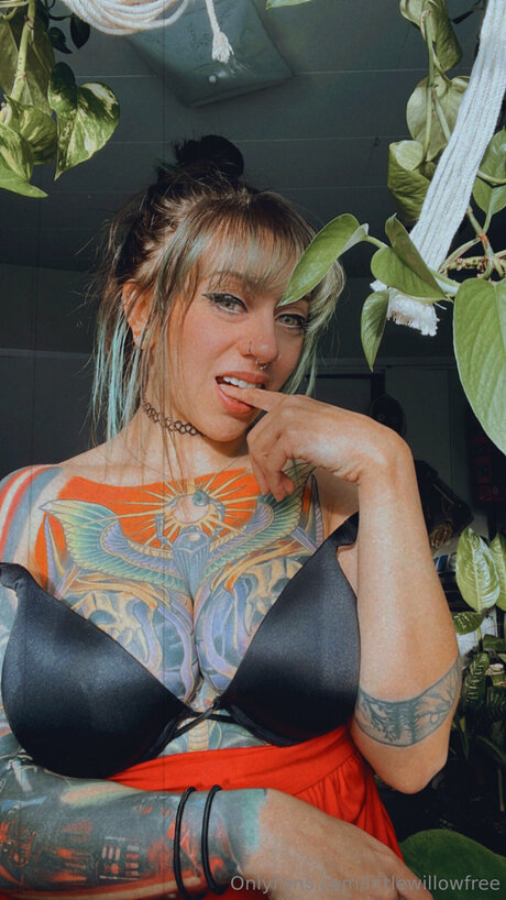 Littlewillowfree onlyfans nudes porn