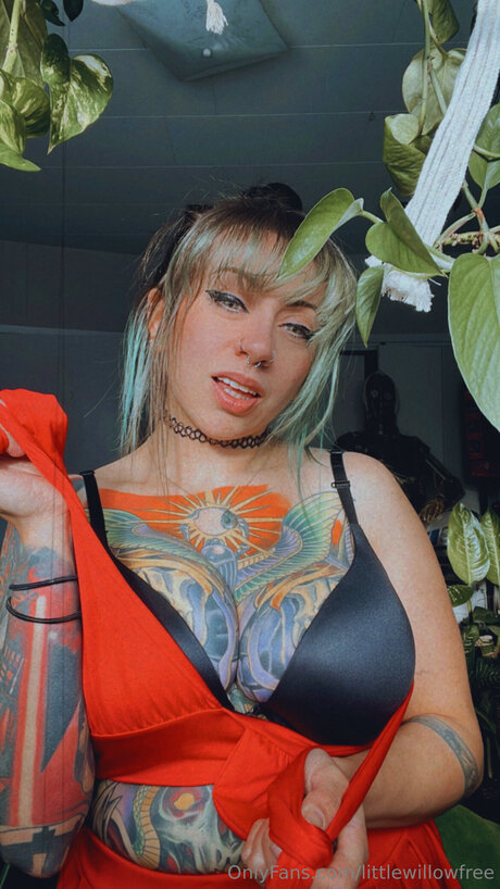 Littlewillowfree onlyfans pic