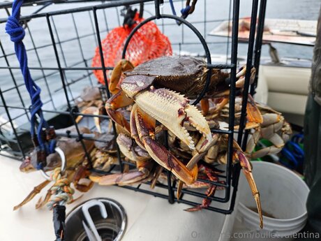 Bulletvalentina leak only fans