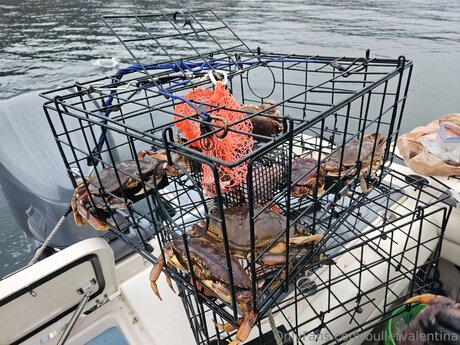 Bulletvalentina only fans porn