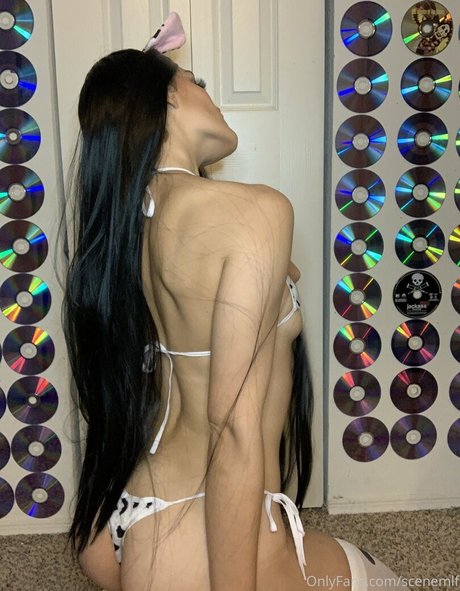 SceneMlf porn onlyfans