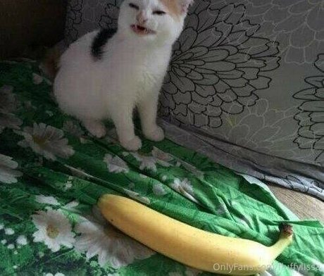 Fluffylissa strip onlyfans