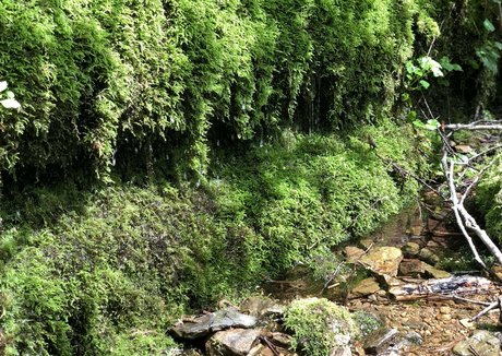 UnicornButtStuff ass onlyfans