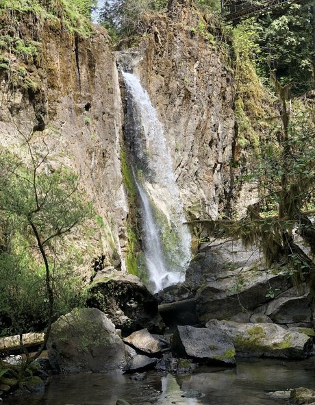 UnicornButtStuff onlyfans for free