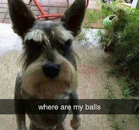 kuroshiika onlyfans lean