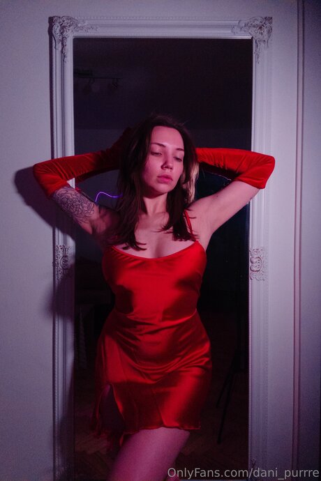 Dani Purrre onlyfans star