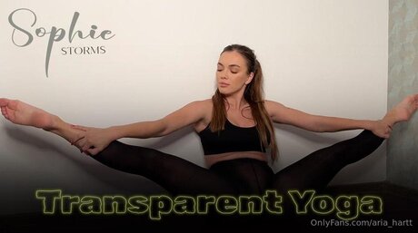 Aria Hartt onlyfans nudes