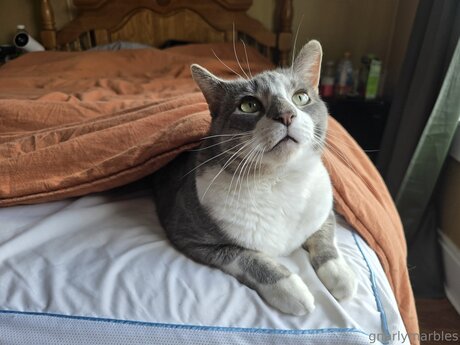 Gnarlymarbles onlyfans leak new