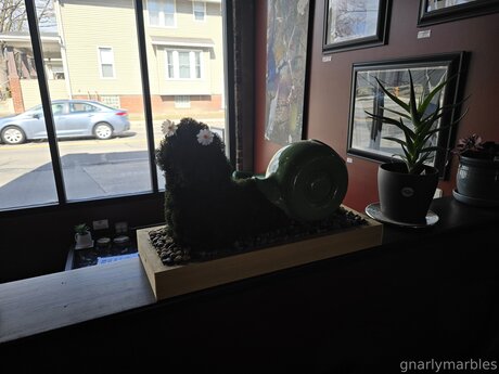 Gnarlymarbles leaked nudes onlyfans