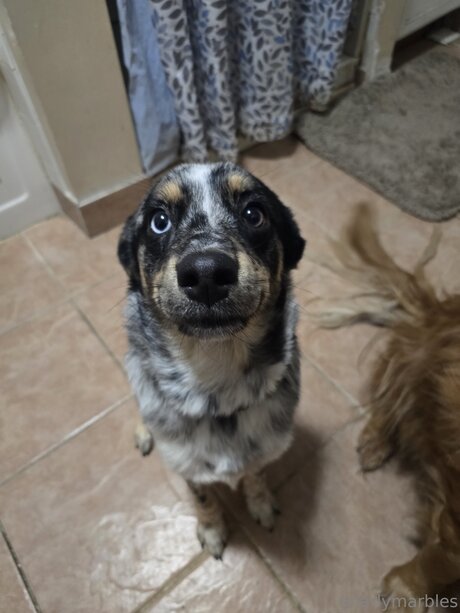 Gnarlymarbles free onlyfans porn