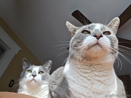 Gnarlymarbles pics onlyfans