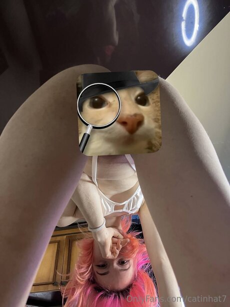 Catinhat7 onlyfans pictures