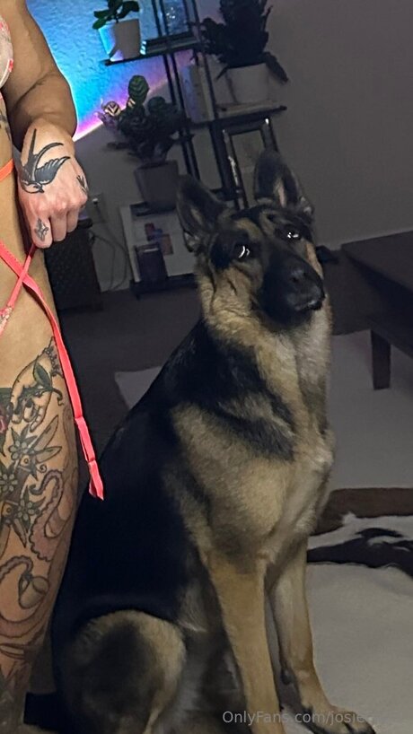 Josiecatxx onlyfans porn nude