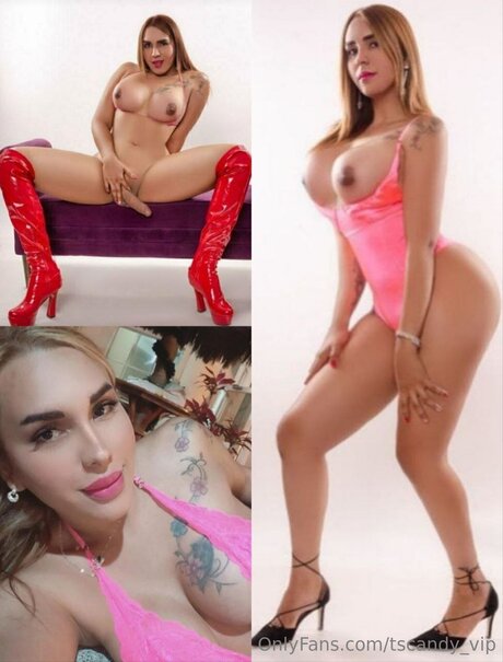 Tscandy Vip onlyfans model photos