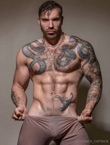 Polaco Carioca onlyfans sex