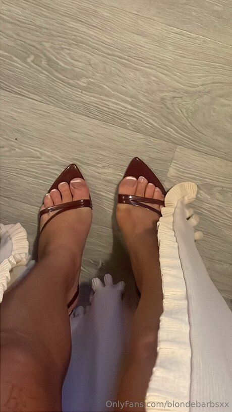 Blondebarbsxx leaks onlyfans porn