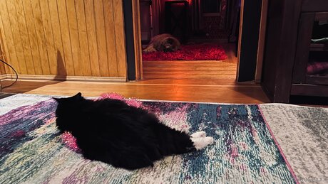 Miarosexxx nudes onlyfans leak