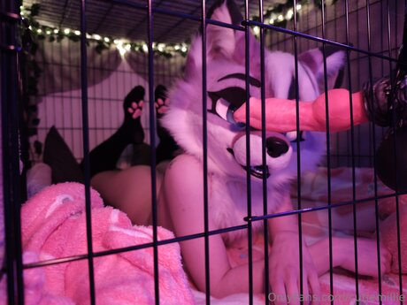 Cutiemillie onlyfans for free