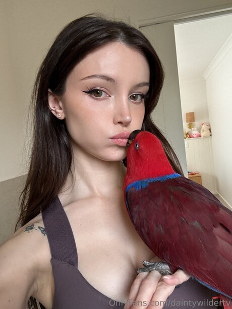 Daintywildertv on onlyfans